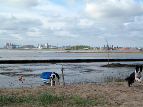 Nordsee